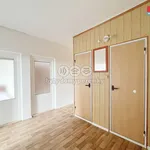 Rent 3 bedroom apartment of 69 m² in Chomutov