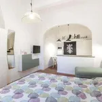 Rent 1 bedroom apartment of 25 m² in Florence