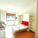 Rent 1 bedroom apartment of 45 m² in Milano