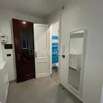 Rent 2 bedroom apartment of 48 m² in Torino