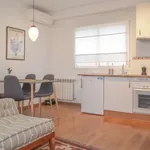 Rent 1 bedroom apartment of 40 m² in madrid