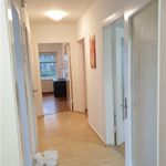 Rent 3 bedroom apartment of 56 m² in Neu Wulmstorf