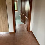 Rent 1 bedroom apartment of 45 m² in Firenze