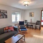 Rent 3 bedroom apartment of 90 m² in Oviedo