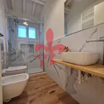 Rent 4 bedroom house of 100 m² in Firenze