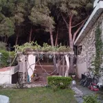 Rent 3 bedroom house of 150 m² in Borgia