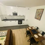 Rent 1 bedroom apartment of 42 m² in paris