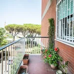 Rent 3 bedroom apartment of 132 m² in Roma