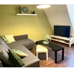 Rent 1 bedroom apartment of 50 m² in Jena