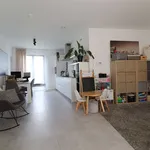 Rent 1 bedroom apartment in Antwerpen