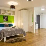 Rent 1 bedroom apartment in Bristol