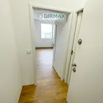 Rent 1 bedroom apartment of 20 m² in Plzeň