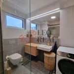 Rent 2 bedroom apartment in Praha 5