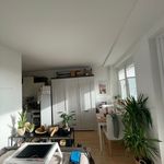 Rent 1 bedroom apartment of 29 m² in Dresden