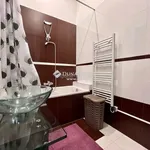 Rent 1 bedroom apartment in Pécs