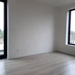 Rent 4 bedroom house of 221 m² in MARIAKERKE