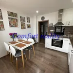 Rent 3 bedroom apartment of 63 m² in Ostrava