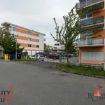 Rent 2 bedroom apartment in Plzeň