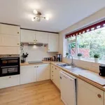 Rent 4 bedroom house in South East England