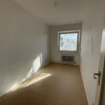 Miete 2 Schlafzimmer wohnung von 47 m² in Berlin