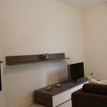 Rent 2 bedroom apartment of 45 m² in Münster