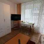 Rent 1 bedroom apartment of 30 m² in Erlangen