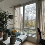 Huur 3 slaapkamer appartement in Ixelles - Elsene