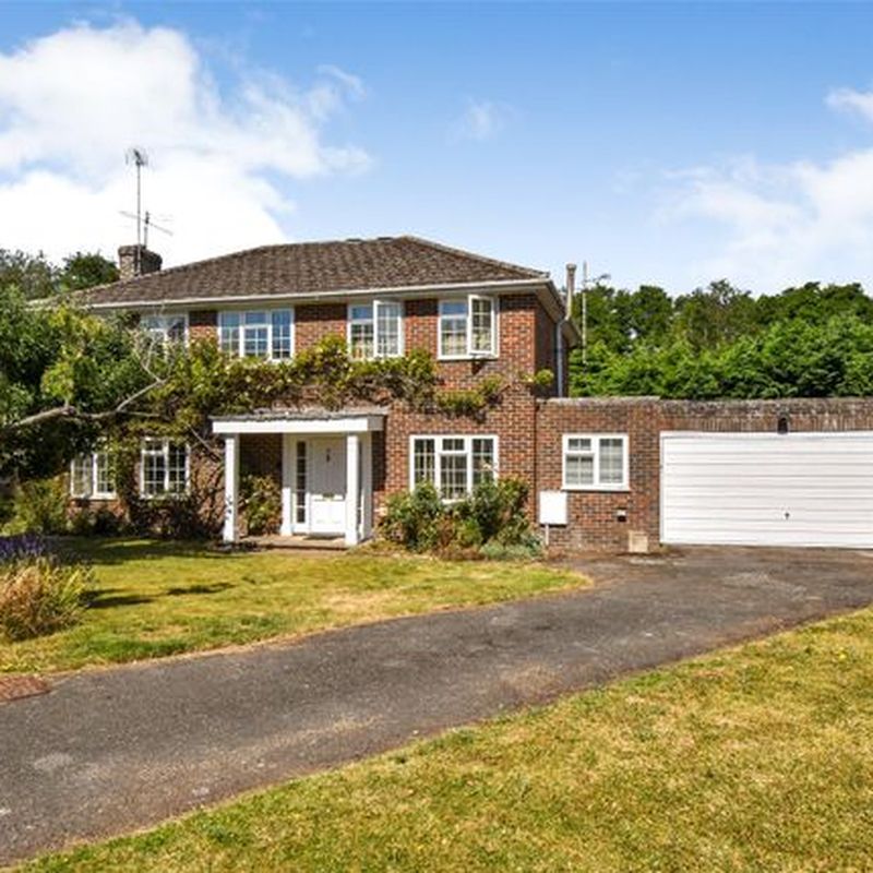 Detached house to rent in Paddock Fields, Old Basing, Basingstoke, Hampshire RG24 Oakridge