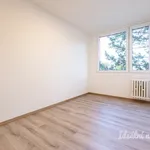 Rent 3 bedroom apartment in Prague