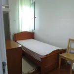 Alugar 7 quarto apartamento em Porto