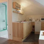 Rent 1 bedroom apartment of 50 m² in Dresden