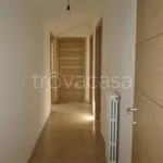 Rent 1 bedroom apartment of 100 m² in Potenza