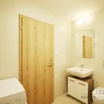 Rent 1 bedroom apartment in Praha 3