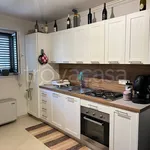 Rent 2 bedroom apartment of 60 m² in Francavilla Fontana