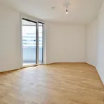 Rent 2 bedroom apartment of 54 m² in Wien