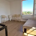 Rent 2 bedroom apartment of 50 m² in Albi