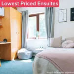 Rent 9 bedroom apartment in Leeds