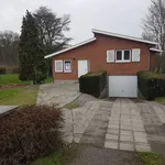 Maison de 1190 m² avec 3 chambre(s) en location à Gottignies