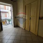 Rent 4 bedroom apartment of 85 m² in 442
 
 Bagheria