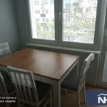 Rent 3 bedroom apartment of 48 m² in Włocławek