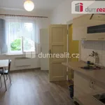 Rent 2 bedroom apartment of 55 m² in Capital City of Prague