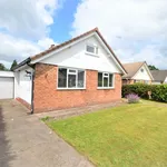 Detached bungalow to rent in Forest Avenue, Goostrey, Crewe CW4