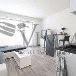 Rent 1 bedroom apartment of 35 m² in České Budějovice