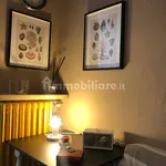 Rent 2 bedroom apartment of 40 m² in Pisa