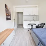 Rent 1 bedroom apartment in Brno