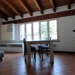 Rent 2 bedroom apartment of 51 m² in Como