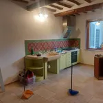 Affitto 5 camera casa di 110 m² in Sesto Fiorentino