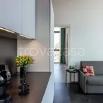 Rent 1 bedroom apartment of 50 m² in Venezia