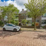 Rent 6 bedroom house of 150 m² in Bezuidenhout-Midden