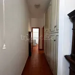 Rent 2 bedroom apartment of 50 m² in Nettuno